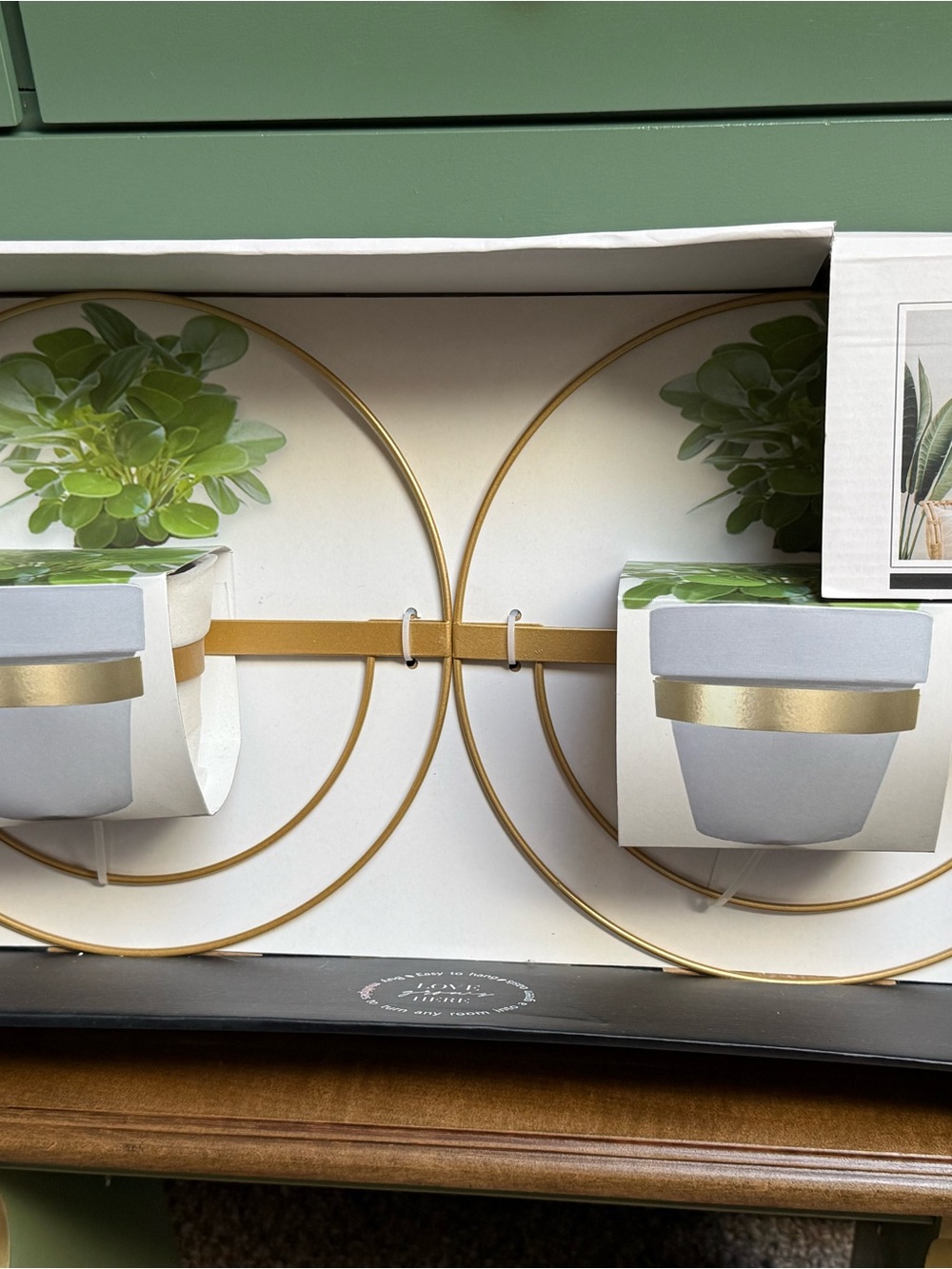 DwellStudio Double Hoop Gold Metal Wall Hang Planter Set Plant Pots (Set of 2)